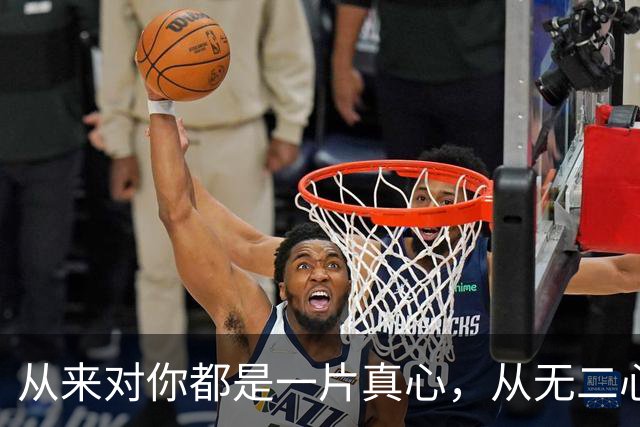 从来对你都是一片真心，从无二心