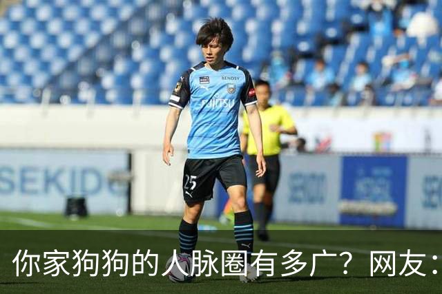 你家狗狗的人脉圈有多广？网友：我也是只认识狗不认识狗主人