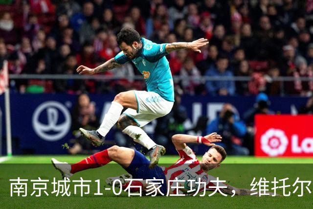 南京城市1-0石家庄功夫，维托尔一剑封喉