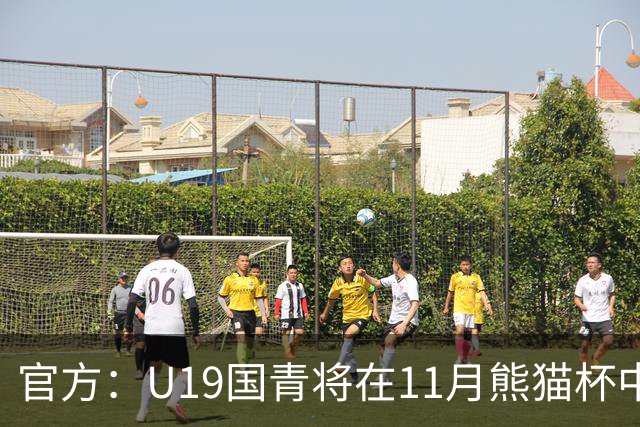 官方：U19国青将在11月熊猫杯中对阵韩国、越南、塔吉克斯坦