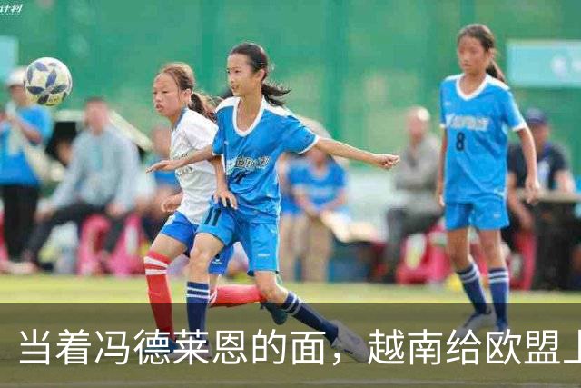 当着冯德莱恩的面，越南给欧盟上了一课：什么叫“中国力量”
