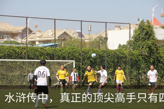 水浒传中，真正的顶尖高手只有四位，林冲、武松之辈也不值一提