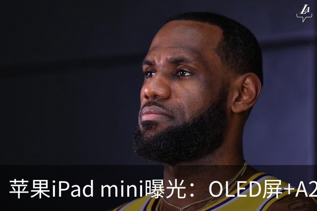 苹果iPad mini曝光：OLED屏+A20芯，售价或涨至799美元