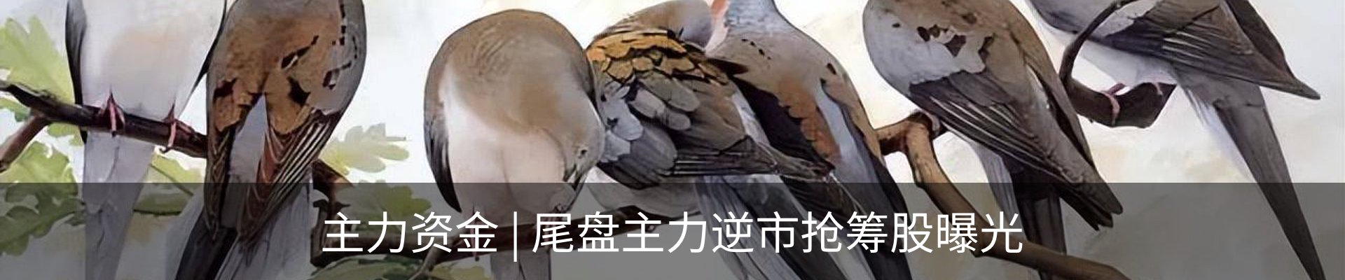 资讯中心
