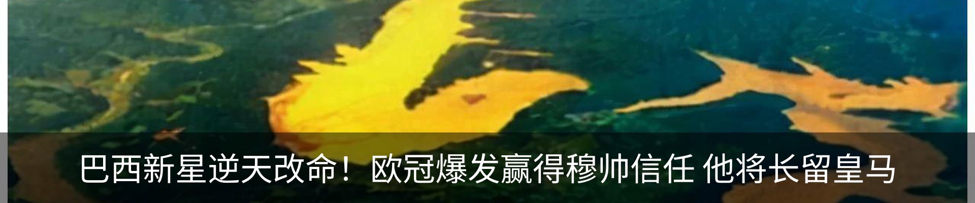资讯中心
