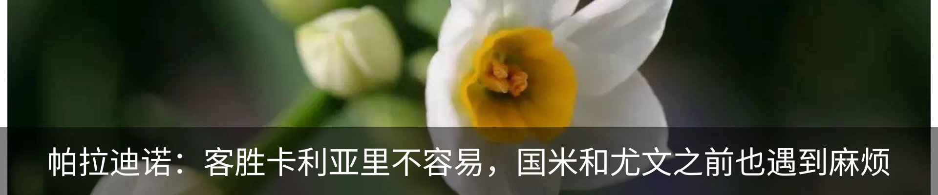 资讯中心